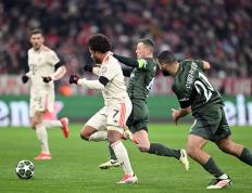 IM体育App下载-戴维斯杯鏖战年终总决赛，穆雷统治全场