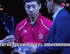 IM体育官方平台-比利时乒乓球队险胜奥地利乒乓球队，许昕关键制胜的简单介绍