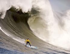 IM体育注册链接-莫兰特单骑破局，森林狼式防守绞杀广厦—现代篮球的矛与盾启示录