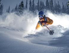 IM体育官方网-从ATP总决赛鏖战到戴维斯杯救赎—蒂姆的高光时刻与网球精神的传承