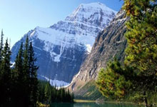 IM体育平台-高原铁骑的怒吼，马丁内利闪电破局，玻利维亚斩落智利重铸南美秩序