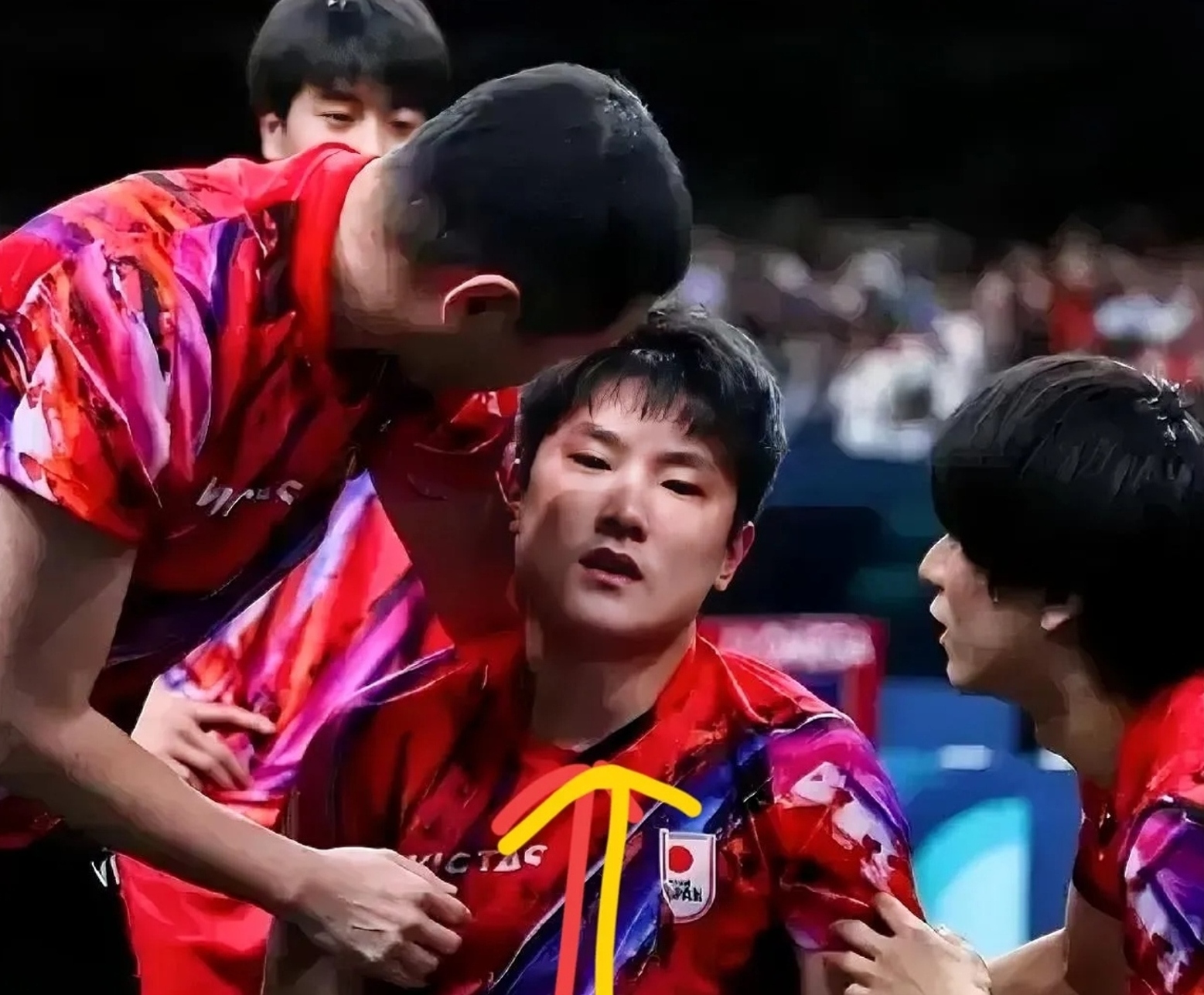 IM Sport-德国乒乓球队横扫比利时乒乓球队，张本智和爆发神勇的简单介绍