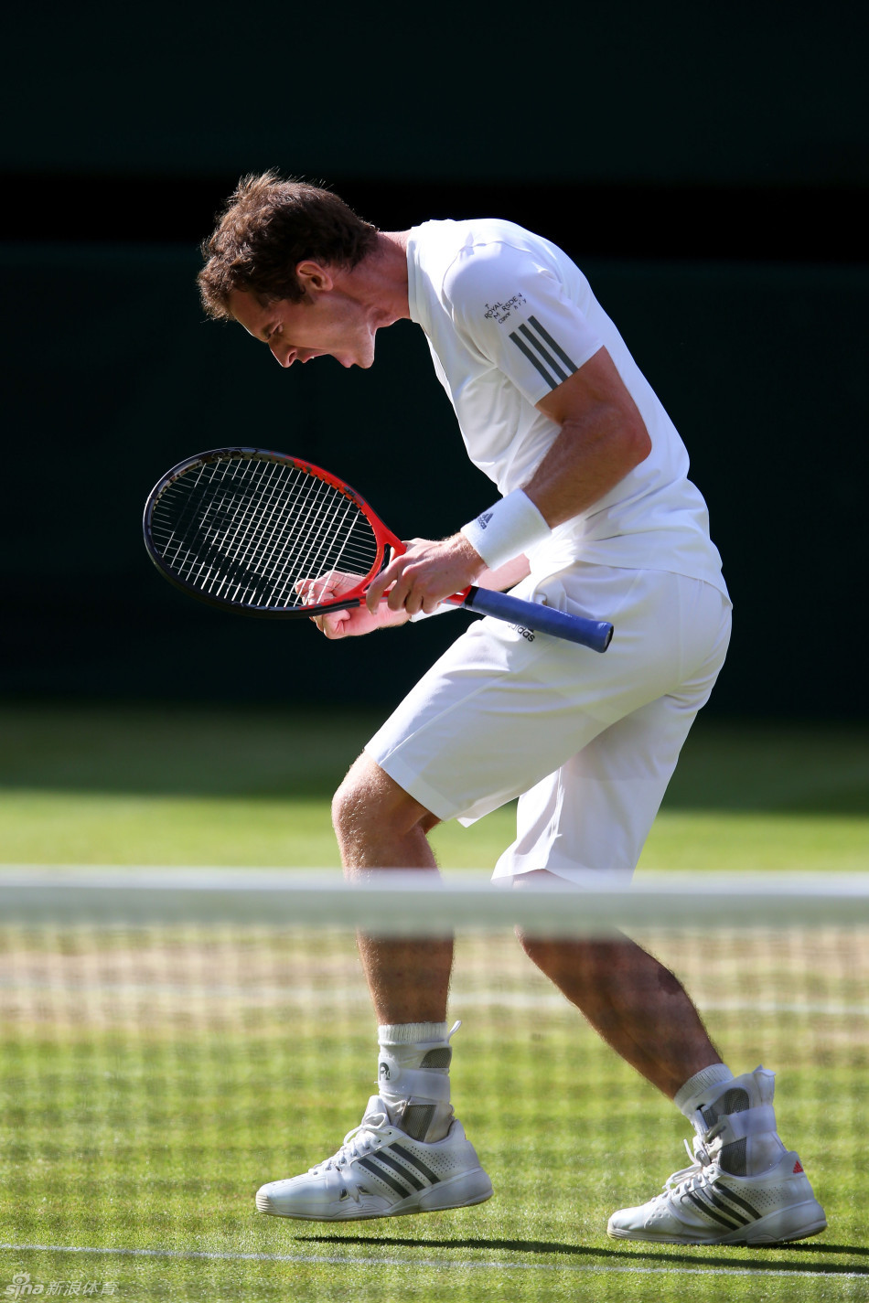 IM体育官网入口-世界网球队逆转意大利网球队，穆雷高光表现的简单介绍