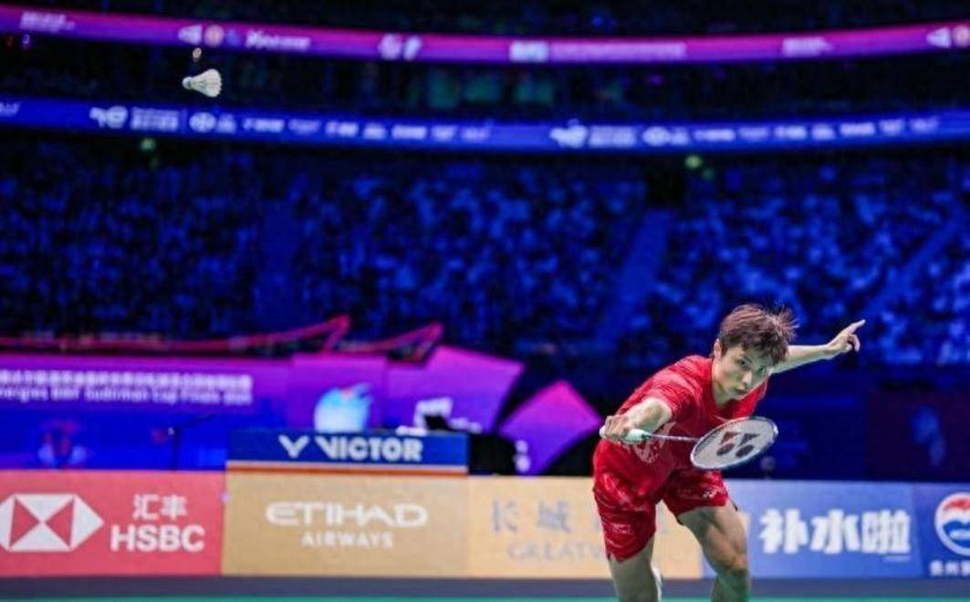 IM体育下载-印尼队完胜德国队，石宇奇惊艳四座的简单介绍