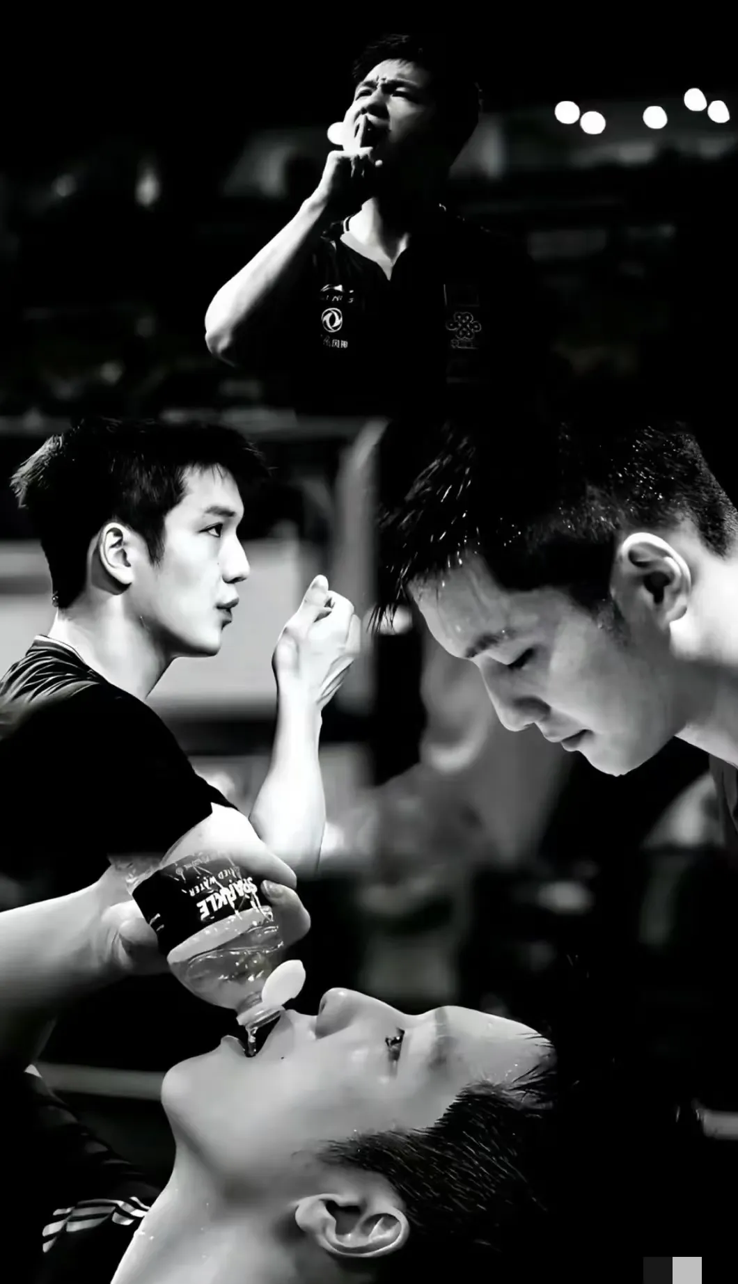 IM体育社区互动入口-波兰队鏖战日本队，樊振东扛起全队