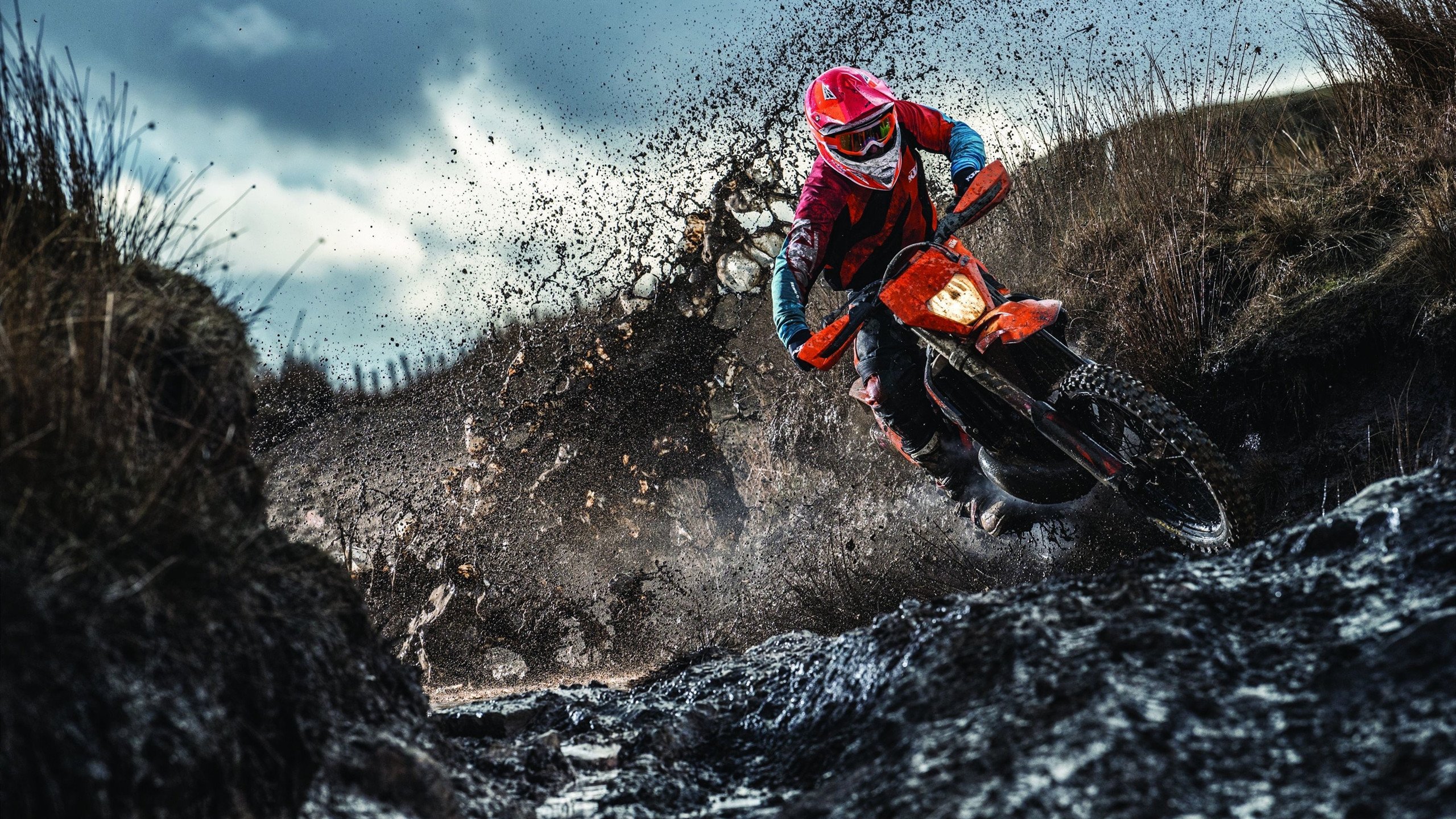 IM体育官方平台-范弗利特节奏掌控如教科书，浙江队战术智慧令尼克斯失色